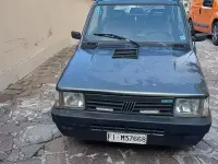 Usata Fiat Panda 4x4 50 CV (36 kW) 1987 Verde Utilitaria