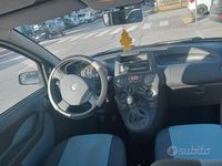 Usata Fiat Panda Dynamic 77 CV (56 kW) 2009 Bianco Utilitaria