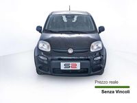 Usata Fiat Panda S 69 CV (50 kW) 2024 Nero Utilitaria