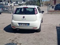 usata Fiat Punto Punto Evo 1.2 5 porte Dynamic