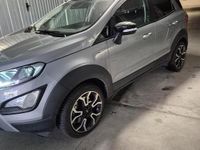 Usata Ford Ecosport 125 CV (91 kW) 2021 Grigio SUV