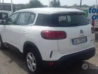 Usata Citroën C5 Aircross Live 131 CV (96 kW) 2021 Bianco SUV