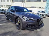 usata Alfa Romeo Stelvio 2.2 Turbo Diesel 210CV Veloce AT8 Q4