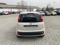 usata Fiat Panda 1.2 EasyPower Lounge del 2015 usata a Massarosa