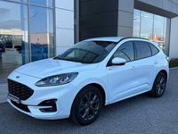 Usata Ford Kuga ST-Line 120 CV (88 kW) 2023 Bianco SUV