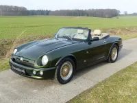 Usata MG RV8 192 CV (141 kW) 1994 Verde Cabrio