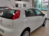 Usata Fiat Punto 69 CV (50 kW) 2014 Bianco Utilitaria