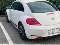 usata VW Beetle New(maggiolino)