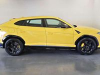 Usata Lamborghini Urus 650 CV (478 kW) 2019 Giallo SUV
