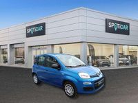 Usata Fiat Panda S 69 CV (50 kW) 2025 Blu metallizzato Berlina