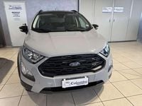 Usata Ford Ecosport Active 125 CV (91 kW) 2023 Grigio SUV