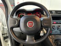 Usata Fiat Panda S 70 CV (51 kW) 2022 Bianco Utilitaria