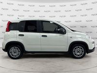 Usata Fiat Panda S 69 CV (50 kW) 2023 Bianco Utilitaria