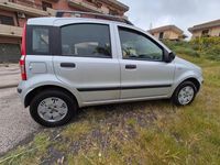 Usata Fiat Panda 60 CV (44 kW) 2008 Argento Utilitaria