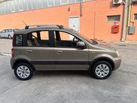 Usata Fiat Panda Active 77 CV (56 kW) 2010 Grigio Utilitaria