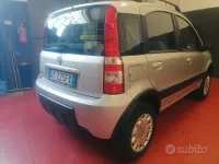 Usata Fiat Panda 4x4 60 CV (44 kW) 2008 Grigio Utilitaria