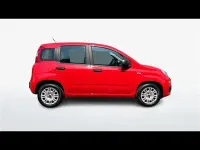 Usata Fiat Panda Easy 69 CV (50 kW) 2019 Rosso Utilitaria