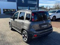 usata Fiat Panda Cross 1.0 FireFly S&S Hybrid