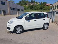 Nuova Fiat Panda Icon 65 CV (47 kW) 2025 Bianco Utilitaria