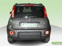 Usata Fiat Panda 70 CV (51 kW) 2023 Grigio Utilitaria