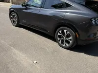 Usata Ford Mustang Premium 351 CV (258 kW) 2022 Nero Station wagon