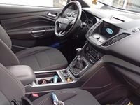 Usata Ford Kuga 120 CV (88 kW) 2019 SUV