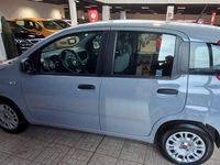Usata Fiat Panda S 69 CV (50 kW) 2021 Grigio Berlina
