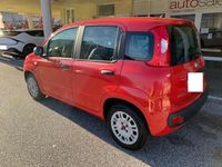 usata Fiat Panda - Pop 1,2 Benzina NEOPATENTATI OK !