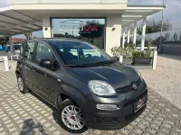Usata Fiat Panda Easy 69 CV (50 kW) 2019 Grigio Utilitaria