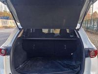 Usata Mazda CX-5 Evolve 150 CV (110 kW) 2018 SUV