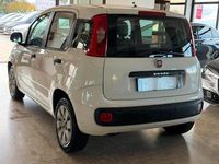 Usata Fiat Panda Pop 75 CV (55 kW) 2013 Bianco Utilitaria
