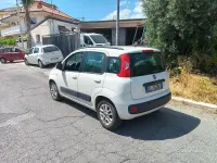 Usata Fiat Panda 75 CV (55 kW) 2012 Bianco Utilitaria
