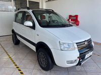 Usata Fiat Panda 4x4 Climbing 69 CV (50 kW) 2004 Bianco Utilitaria