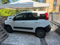 Usata Fiat Panda 4x4 80 CV (58 kW) 2016 Bianco Utilitaria