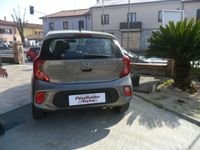 usata Kia Picanto 1.0 12V 5 porte Active