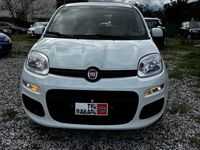 Usata Fiat Panda Easy 69 CV (50 kW) 2018 Bianco Berlina