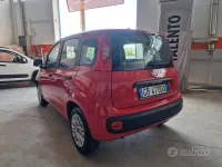 Usata Fiat Panda Lounge 69 CV (50 kW) 2020 Rosso Utilitaria