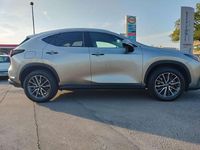 Usata Lexus NX300 309 CV (227 kW) 2023 Oro SUV