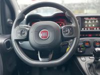 Usata Fiat Panda Cross Cross 69 CV (50 kW) 2024 Bianco Utilitaria