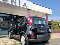 Usata Fiat Panda S 69 CV (50 kW) 2024 Nero Utilitaria
