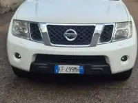 Usata Nissan Navara 190 CV (139 kW) 2011 Bianco Pick-up