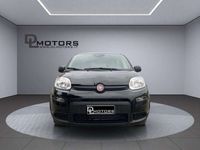Usata Fiat Panda Icon 69 CV (50 kW) 2024 Nero Utilitaria
