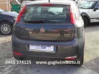 usata Fiat Punto 1.2 5 porte Str OK NEO '2017