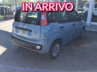 Usata Fiat Panda 69 CV (50 kW) 2022 Grigio Utilitaria
