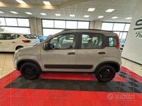 Usata Fiat Panda 4x4 S 85 CV (62 kW) 2020 Grigio Utilitaria