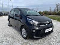 Usata Kia Picanto Urban 65 CV (47 kW) 2023 Nero Utilitaria