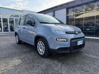 Usata Fiat Panda S 69 CV (50 kW) 2023 Grigio Utilitaria