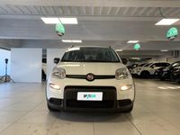 usata Fiat Panda 1.0 FireFly 70cv S&S Hybrid City Life