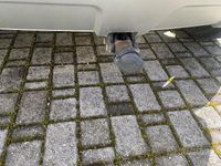 Usata Land Rover Range Rover evoque 150 CV (110 kW) 2017 Nero SUV