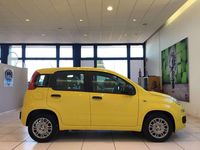 Nuova Fiat Panda Pop 69 CV (50 kW) 2026 Giallo Berlina